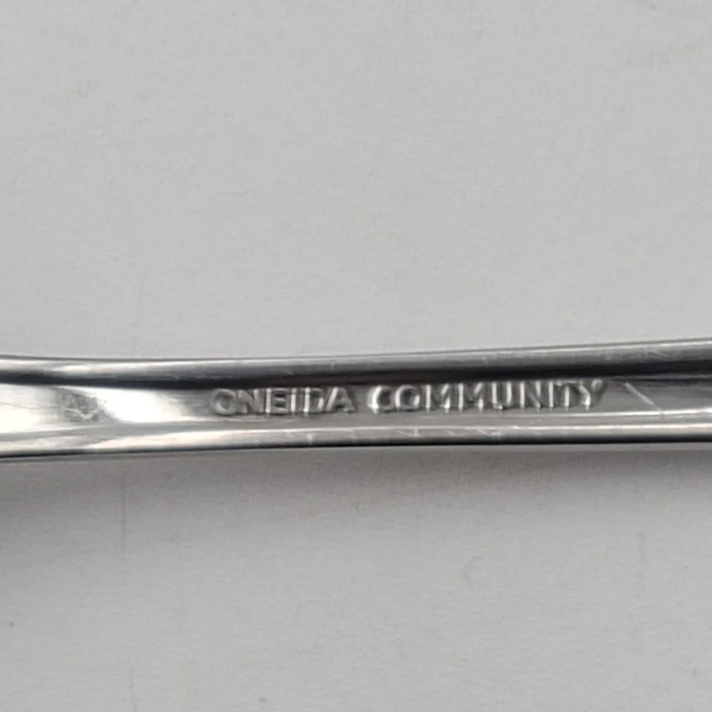 13pc Oneida Community Fantasy Rose Stainless Flatware Set 6 Knives 7 Salad Forks